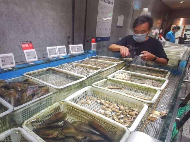 梅童鱼和小黄鱼哪个贵 2026年梅童鱼和小黄鱼哪个贵些