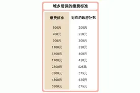 500元~5300元！城乡居保的10个缴费档次该如何选？图片