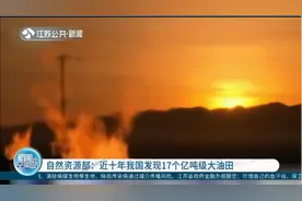 自然资源部：近十年我国发现17个亿吨级大油田视频封面