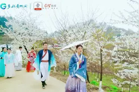 铜仁路腊村：万亩樱花迎春绽放图片