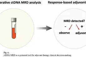 桐树基因首推MRD专有检测产品 MRDshot图片