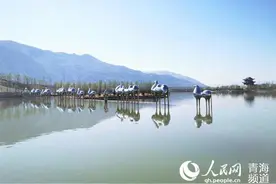 杨占仓：建设西宁市生态宜居品质城北区图片