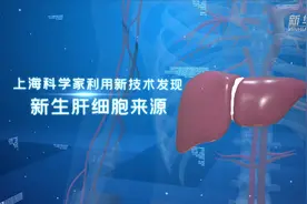 上海科学家利用新技术发现新生肝细胞来源视频封面