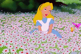 当时尚圈进入花季，今年的女王节你可以选中这些花般美好的礼物图片