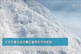 北京冬奥会延庆赛区春雪后分外妖娆视频封面