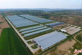 植入科技“芯片”科学精养兴羊业——环县借科技“东风”壮大羊产业促乡村振兴侧记图片