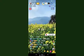 女导游转型当主播：爬过400多趟黄山 最长一次直播13小时图片