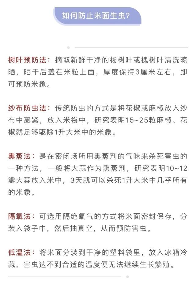 米虫有毒吗（家里的米面为啥凭空出现小虫）