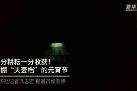 一分耕耘一分收获！大棚“夫妻档”的元宵节视频封面