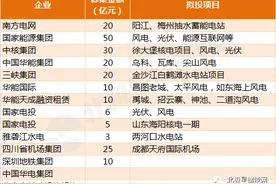 详解14家国企央企碳中和债券：南网用于两大抽水蓄能电站建设图片