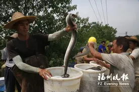 福州认定一批现代农业技术创新基地图片