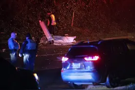 美国佐治亚州一小型客机坠毁 造成3人死亡图片