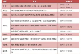 办理和申领指南来了！杭州小客车“区域指标”和“浙A区域号牌”政策3月1日正式实施图片
