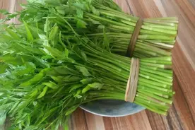春天来了，这10种野菜堪称“天然食物药”，快为家人收好了图片
