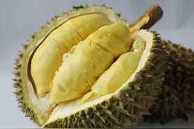 榴莲超过车厘子，成中国进口量最大水果视频封面