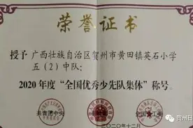 厉害了！贺州市这一小学少先队获国家级荣誉图片