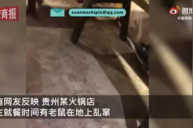 贵州一火锅店就餐时间老鼠乱窜，老板：非常抱歉，会停业整顿图片
