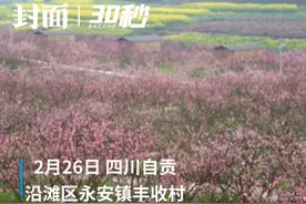 30秒｜“十里桃缘”看落英缤纷，沉醉在四川自贡沿滩的春天里视频封面