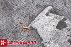 福州一路段现高空抛物！在路人脚边摔碎图片
