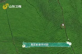 79秒｜SNH48成员段艺璇下地施肥还被狗狗吓到“花容失色”~可怜巴巴地“汪汪回击”图片