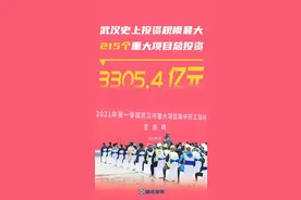 创纪录！3305.4亿图片