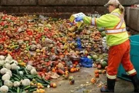 真相惊人！美国到底有多浪费？图片