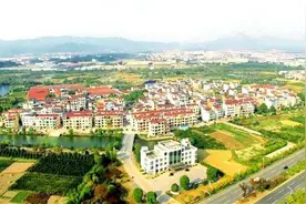 完善“一肩挑”背景下村级组织运行监督机制 | 武义“后陈经验”有了新内涵图片
