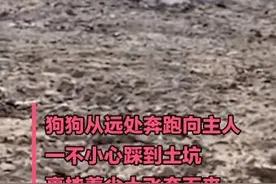 狗狗踩土坑裹挟尘土奔向主人 网友：狗子跑出了千军万马的感觉图片