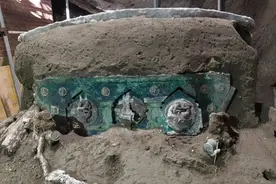 庞贝古城出土华丽罗马战车，几乎完好系意大利首次发现图片
