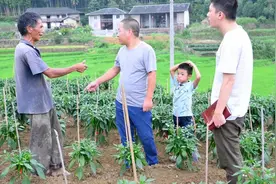 闽清：脱贫户的幸福百态图片