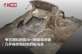 意大利庞贝古城出土一辆装饰华丽的四轮马车视频封面