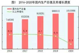 2020年统计公报出炉：人均GDP连续两年超1万美元 生猪存栏同比大涨31%图片
