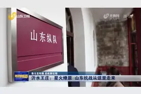 「奋斗百年路 启航新征程」沂水王庄：星火燎原 山东抗战从这里走来图片