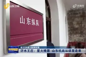 「奋斗百年路 启航新征程」沂水王庄：星火燎原 山东抗战从这里走来图片
