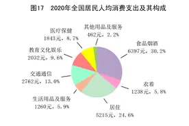 ［2020年统计公报］图17：2020年全国居民人均消费支出及其构成图片