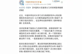 硬核！中科大26岁数学家攻克世界难题图片