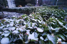 下雪啦！开学第一天+雨雪降温+周一 今天早高峰将更拥堵图片