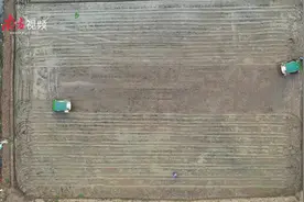 视频 | 1小时插三亩！珠海春耕忙，“神器”来帮忙图片