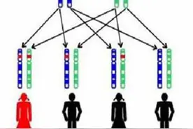 第一个孩子患有先天耳聋，还能生下健康孩子吗？专家：耳聋基因检测便于早期诊断和干预图片