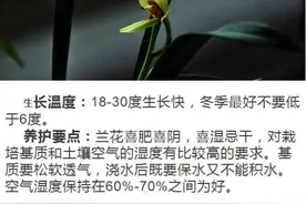 什么人养什么花，对号入座，看看你养对了吗？图片