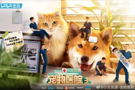 笑泪并存的《小主安康》，上演宠物医院里的“人间世”图片