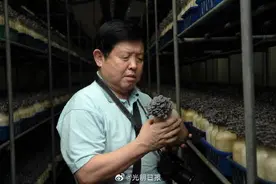 中国工程院院士、吉林农业大学教授李玉：食用菌有啥用？图片