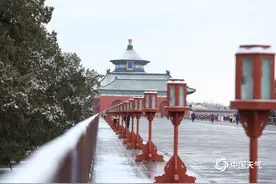 飞雪迎春到！一组图看北方各地雪花飘舞银装素裹图片