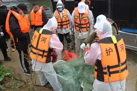 今起至6月底，周口严禁这种行为！当地有关部门已开始执法行动图片