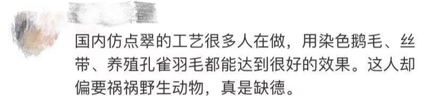 这种美丽太残忍！网友：放过翠鸟可以吗？