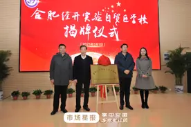 合肥经开实验自贸区学校揭牌成立图片
