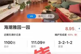 交付一年不到，杭州望江新城这个安置房卖出10万/平方米的价格？买家图啥？图片