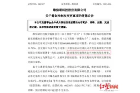 华夏幸福董事长王文学再次甩卖资产自救，维信诺将易主图片