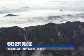 春日云海美如画视频封面