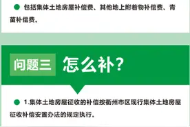 最新！衢州市区征收集体土地地上附着物和青苗等补偿政策图片